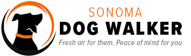 Sonoma Dog Walker
