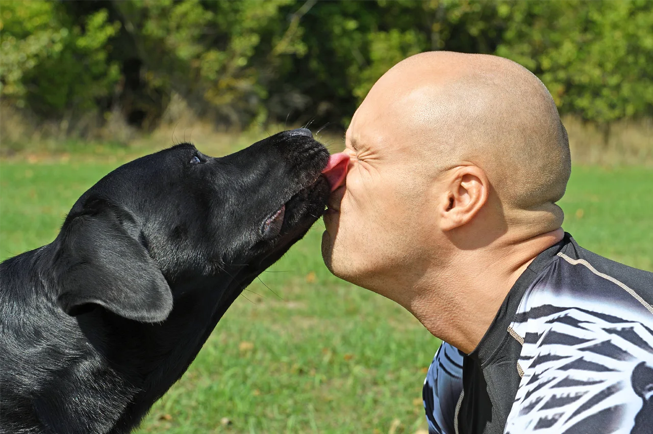 dog walker sonoma loving care